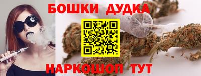 индика Моздок