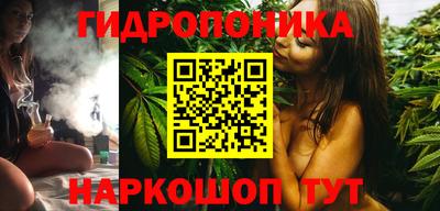 индика Моздок