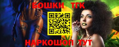 индика Моздок