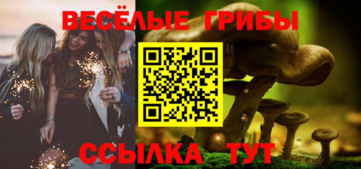 Галлюциногенные грибы Psilocybe Канск