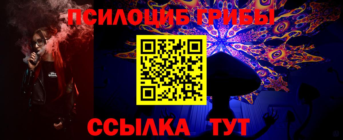 Галлюциногенные грибы Cubensis  Вход с VPN  Канск 